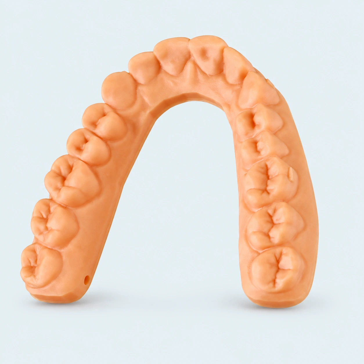 Orange orthodontic dental arch model